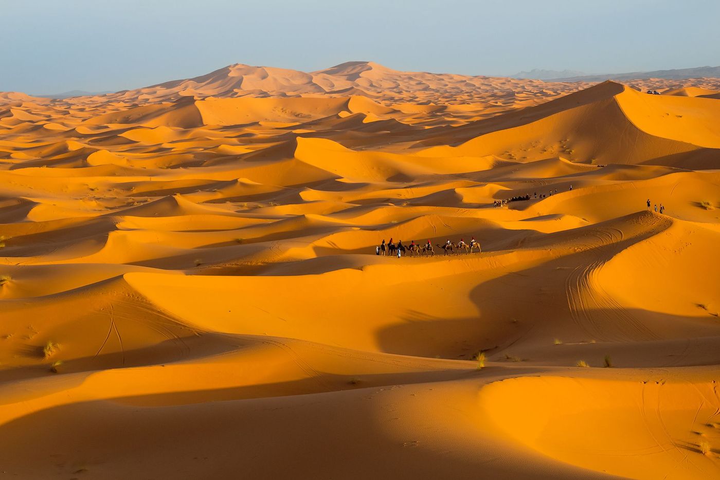 Oasis et désert